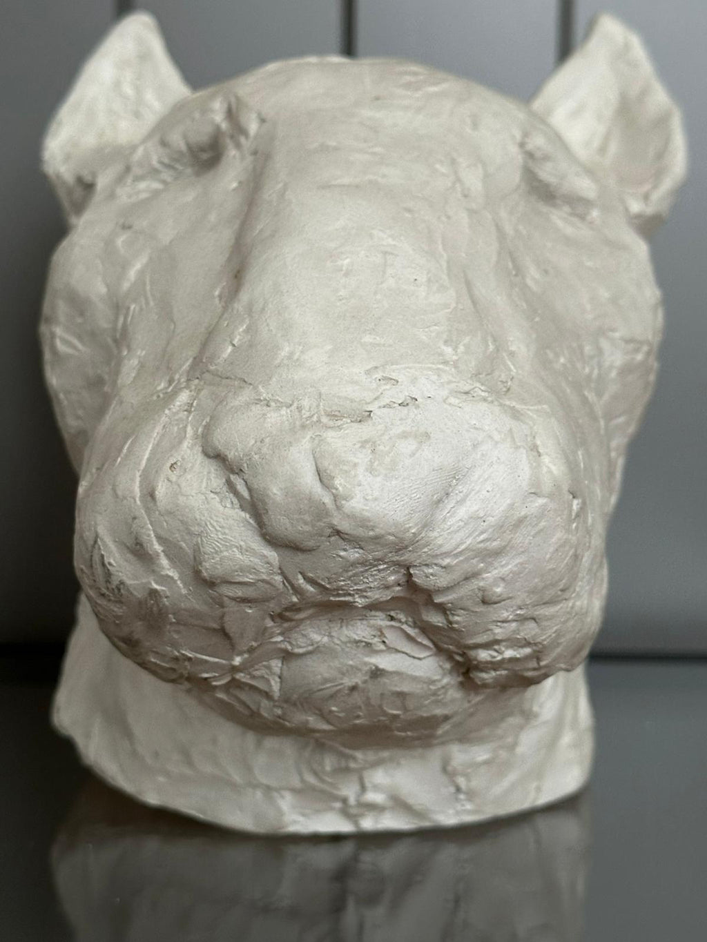 White gypsum sculpture of a bear head on a dark background