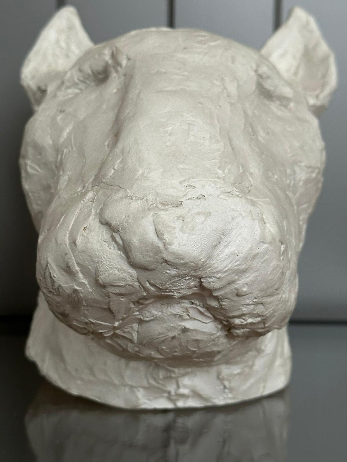 White gypsum sculpture of a bear head on a dark background