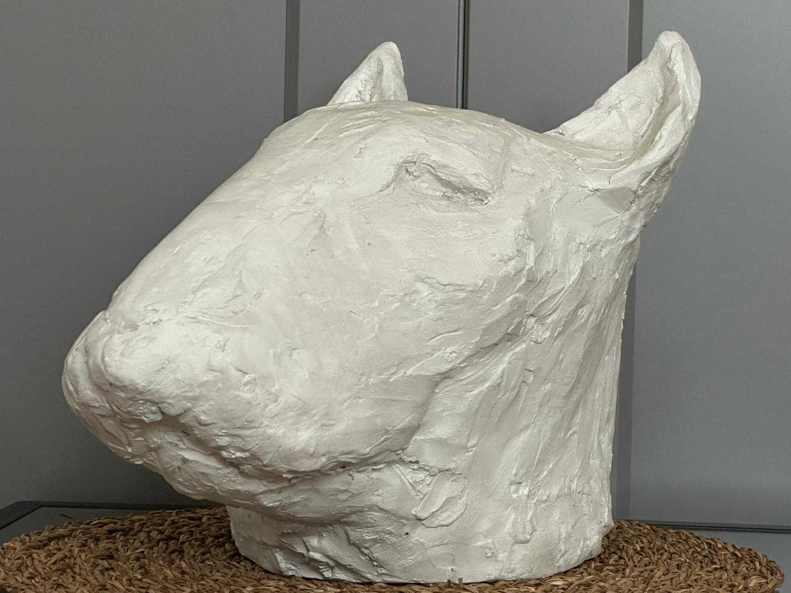 The Bull